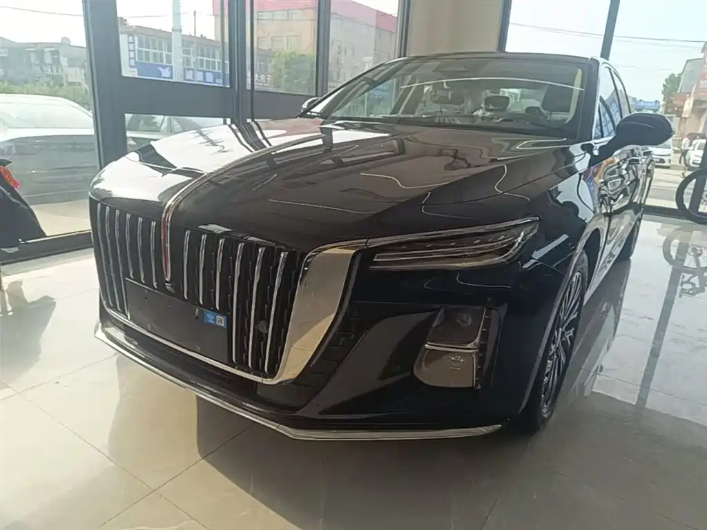 Hongqi H5 2025 2.0T Automatic Flag Celebration 500,000 Units Anniversary Edition фото 2