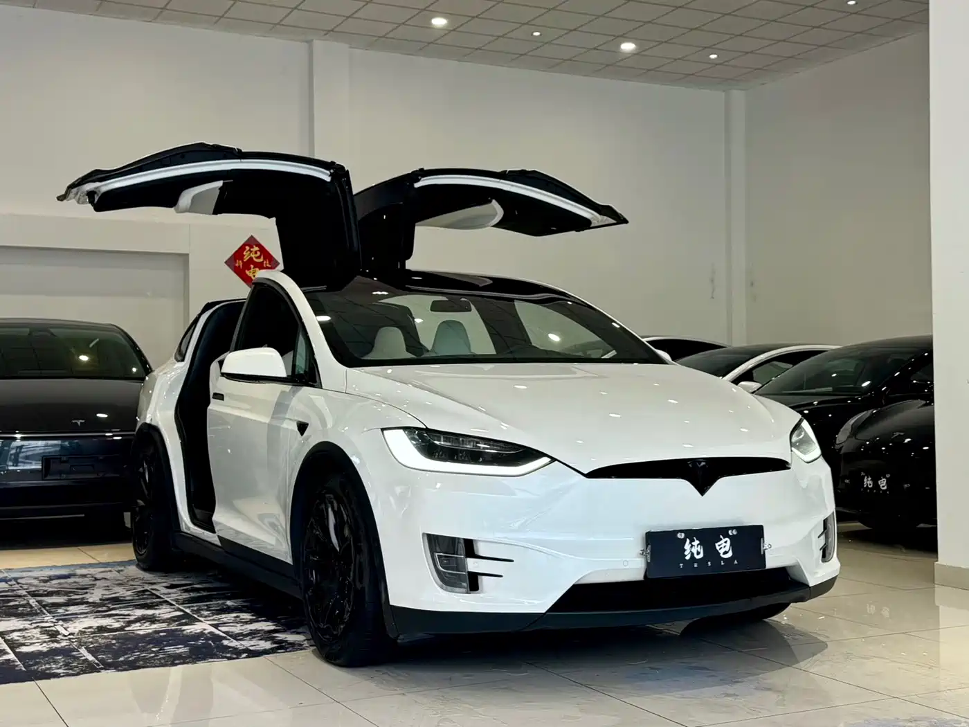 TESLA MODEL X