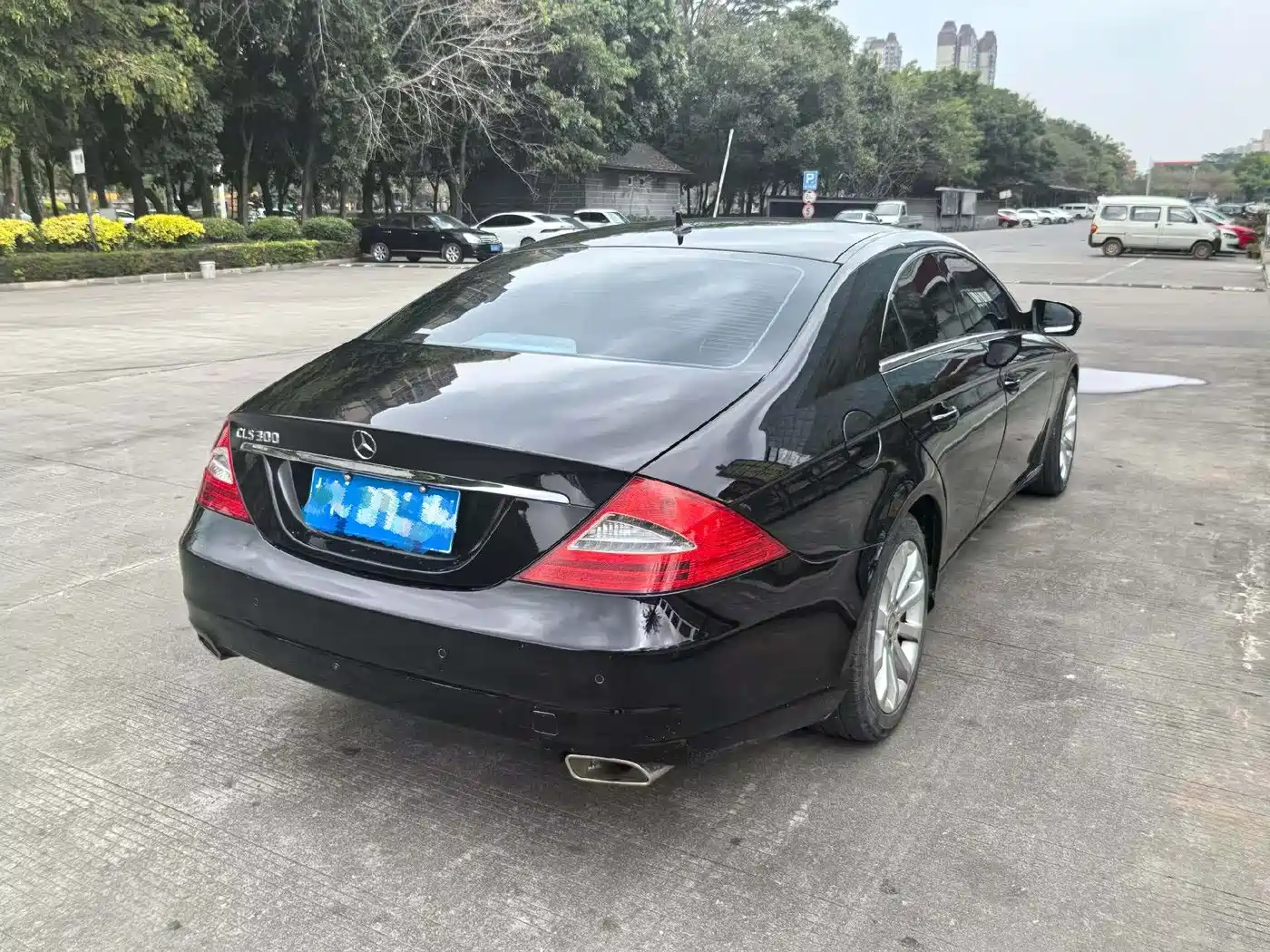 Mercedes-Benz CLS 2009 CLS 300 фото 4