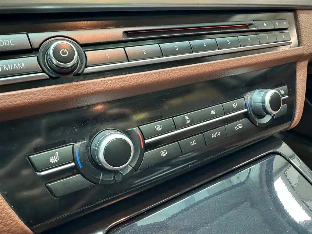 BMW 5 Series 2017 520Li Classic Edition фото 13
