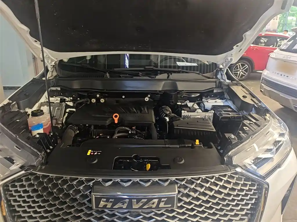 Haval H6 2021 3rd Gen 1.5T Auto 2WD Pro фото 20