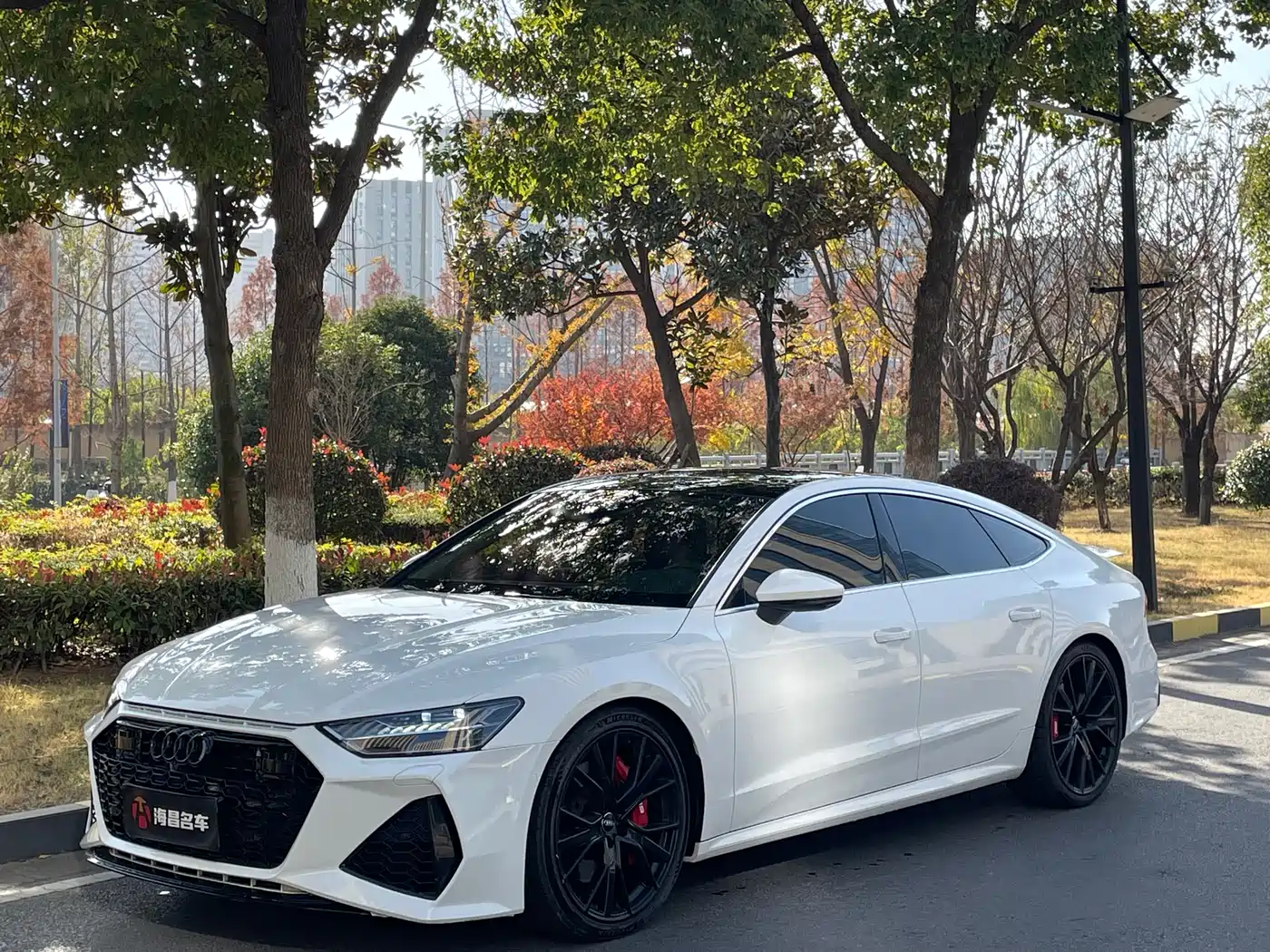Audi A7 2019 55 TFSI quattro Dynamic Type
