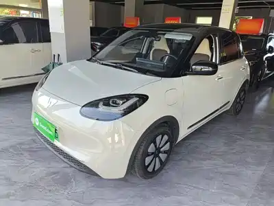 Wuling Bingo