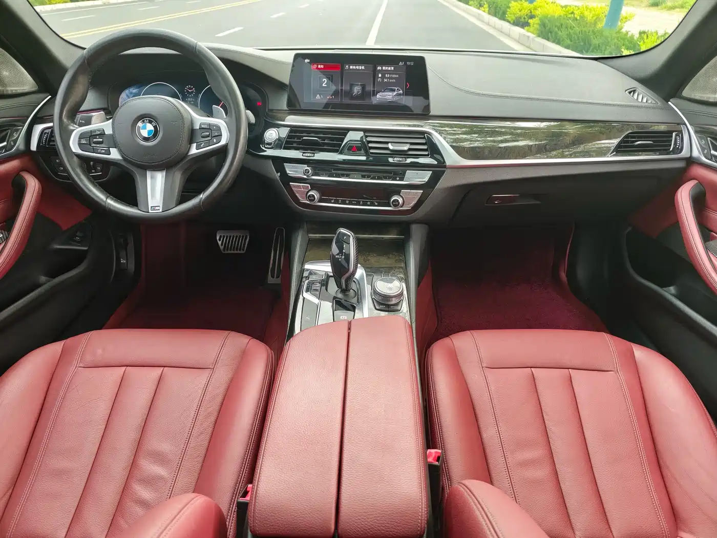 BMW 5 Series 2019 530Li Leading M Sport Package фото 12