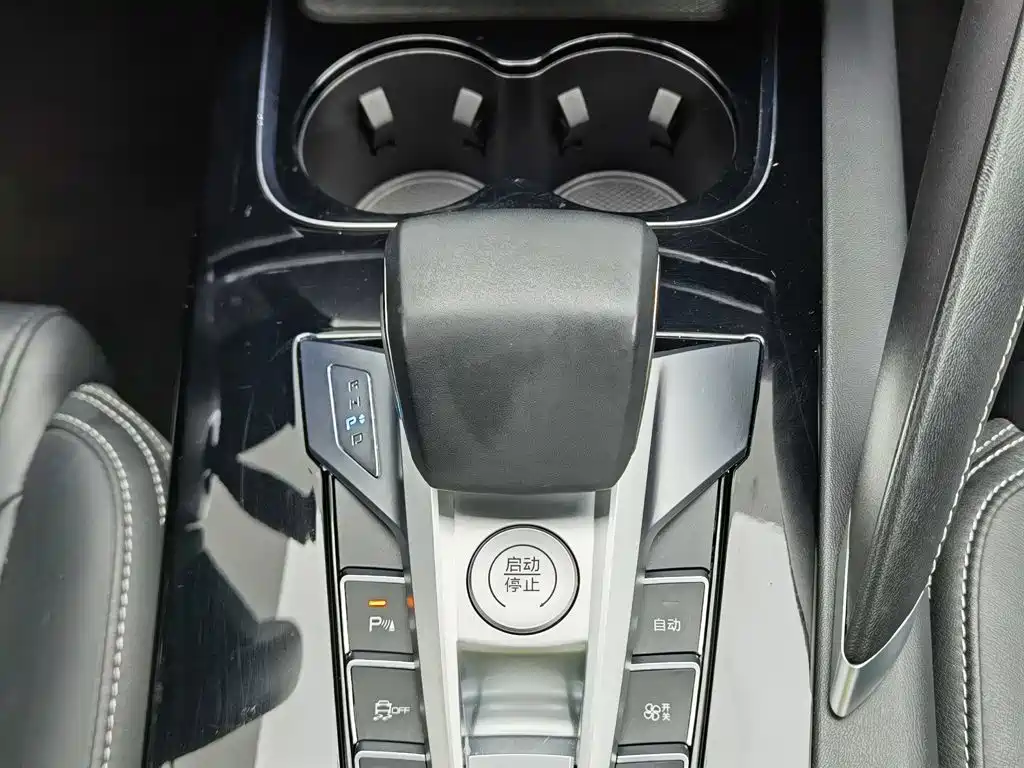 BYD Song Pro 2021 2021 1.5T Automatic Luxury