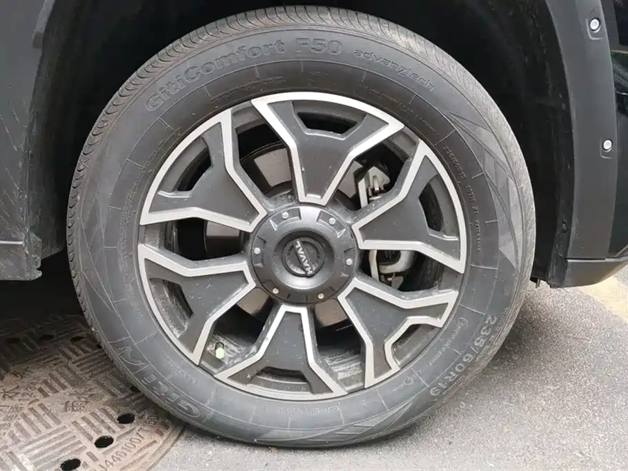 HAVAL SECOND GENERATION BIG DOG NEW ENERGY