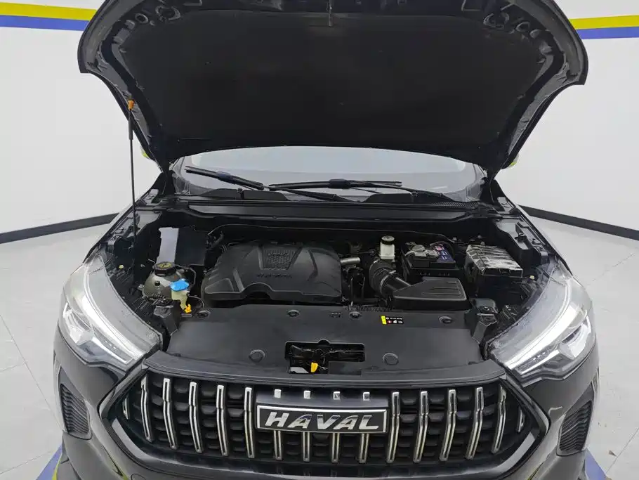 Haval Chitu 2023 2022 Power Edition 1.5T Brass Rabbit