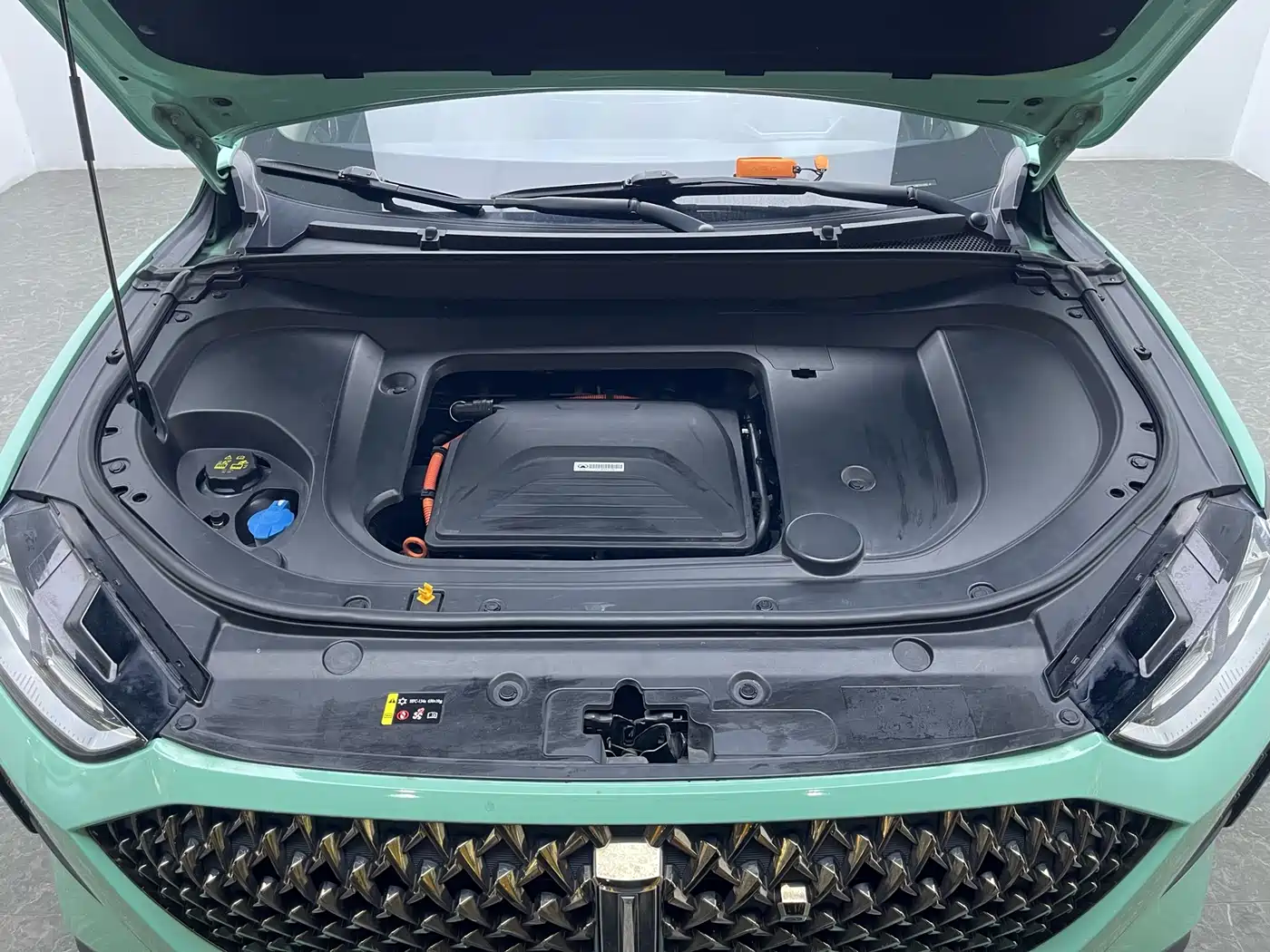 WEI PAI MACCHIATO DHT