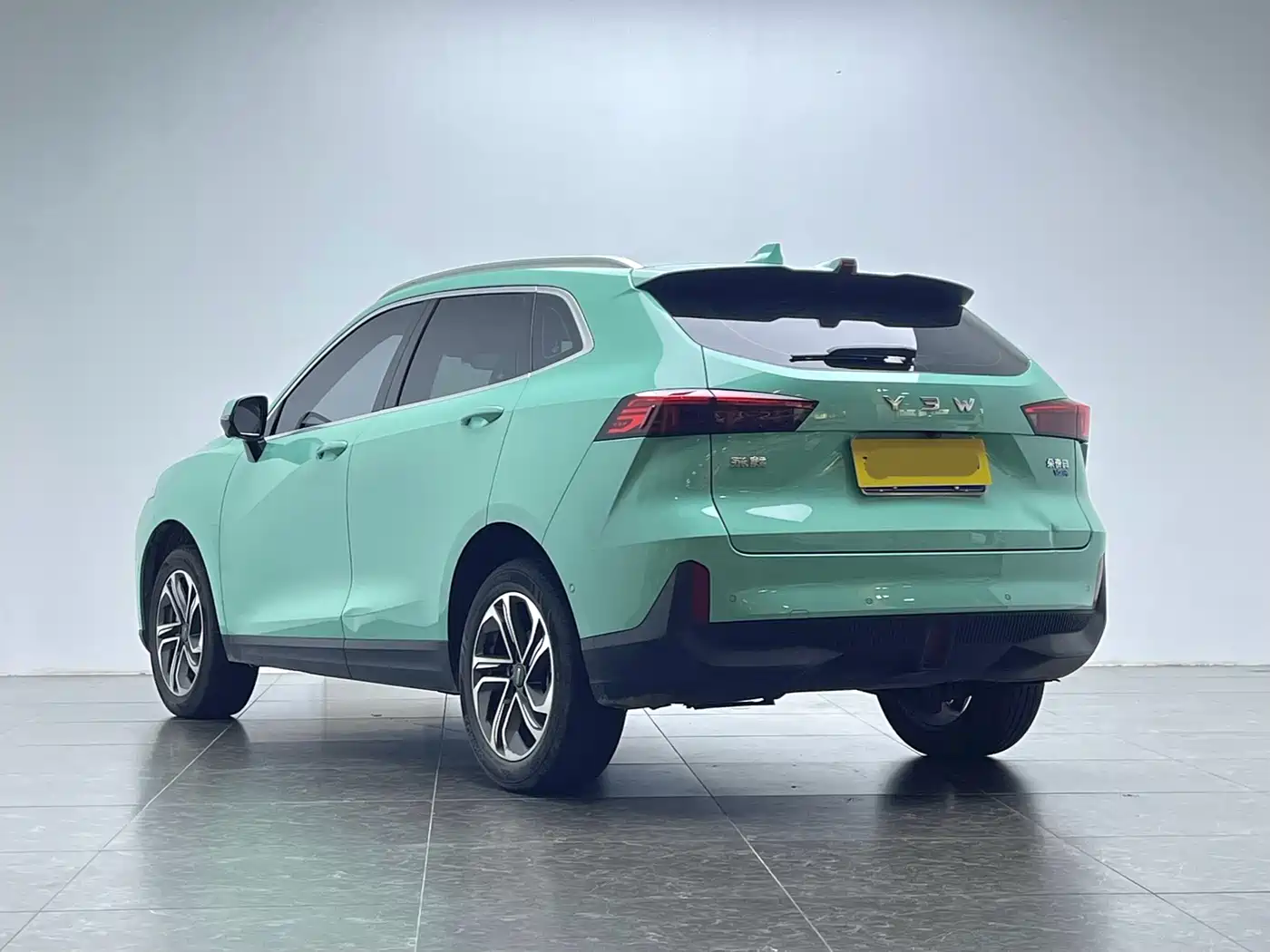 WEI PAI MACCHIATO DHT