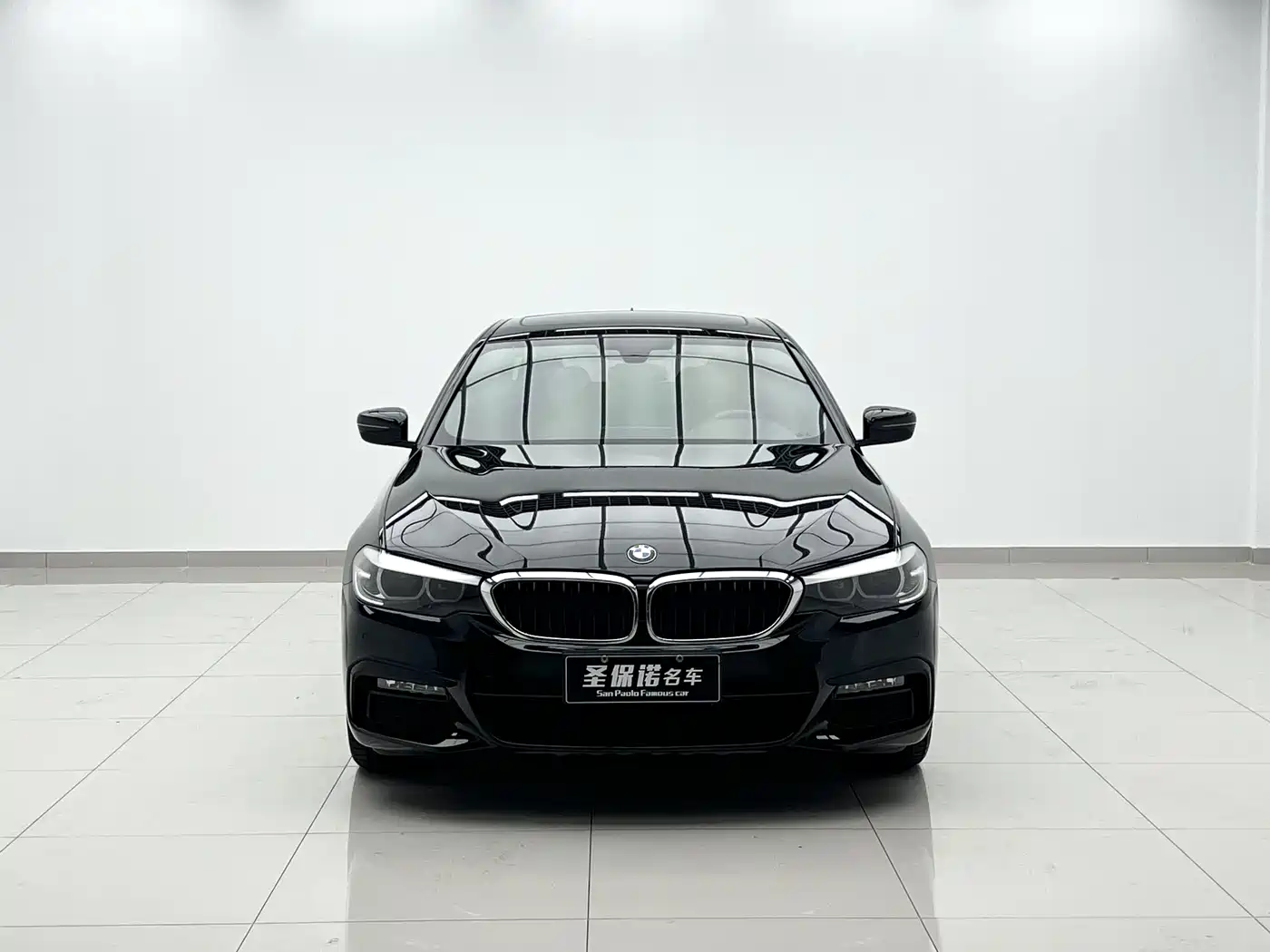 BMW 5 Series 2019 530Li Leading M Sport Package фото 2