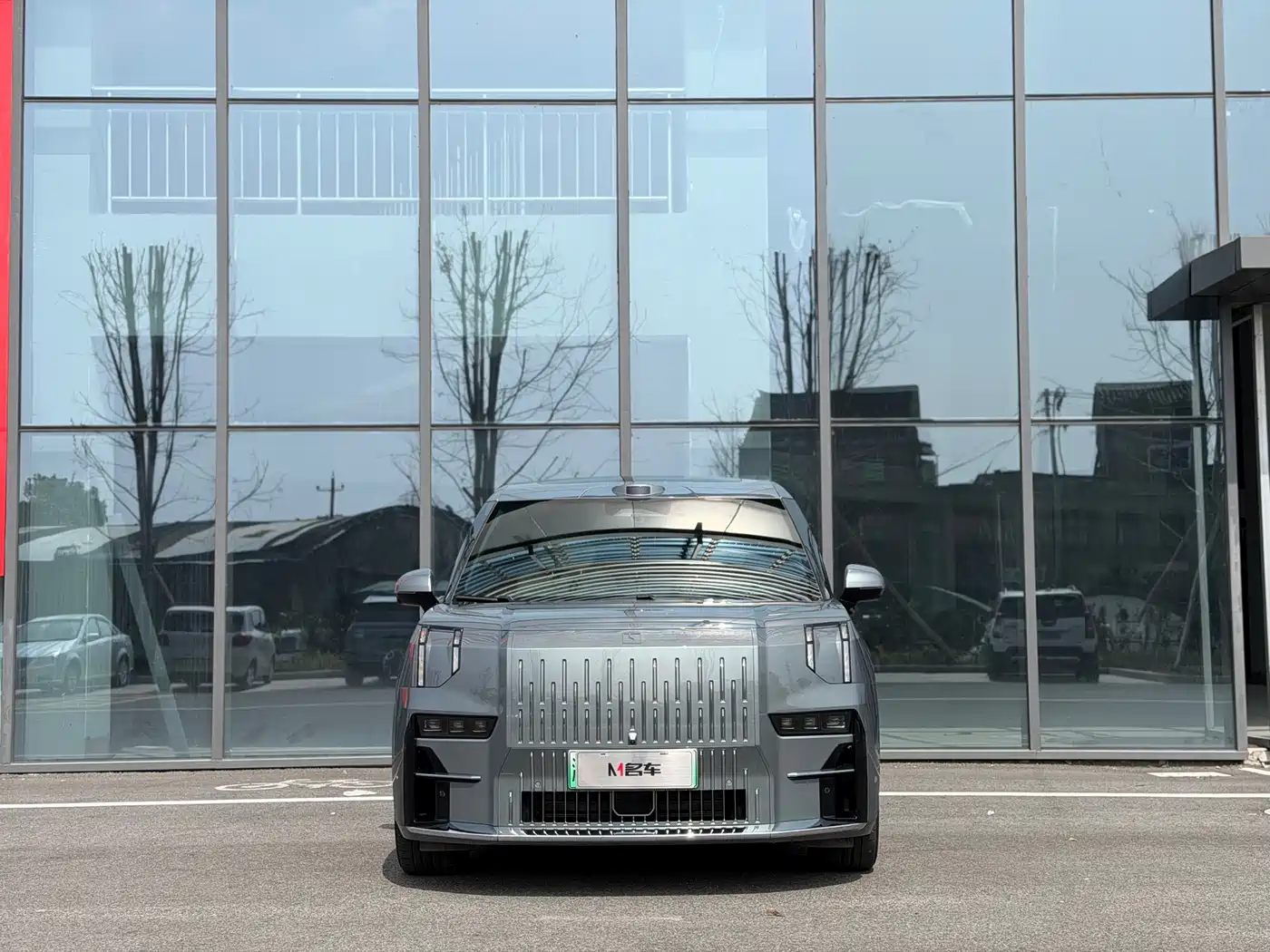 ZEEKR EXTREME KRYPTON 009