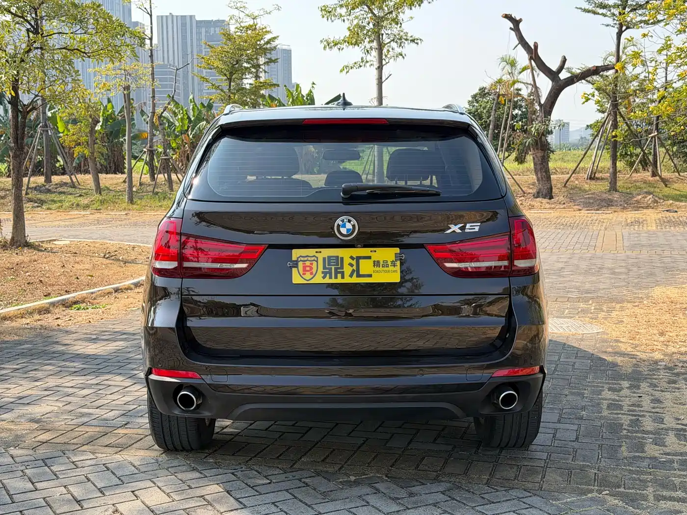 BMW X5 (Import) 2018 xDrive35i Elegant Model фото 3