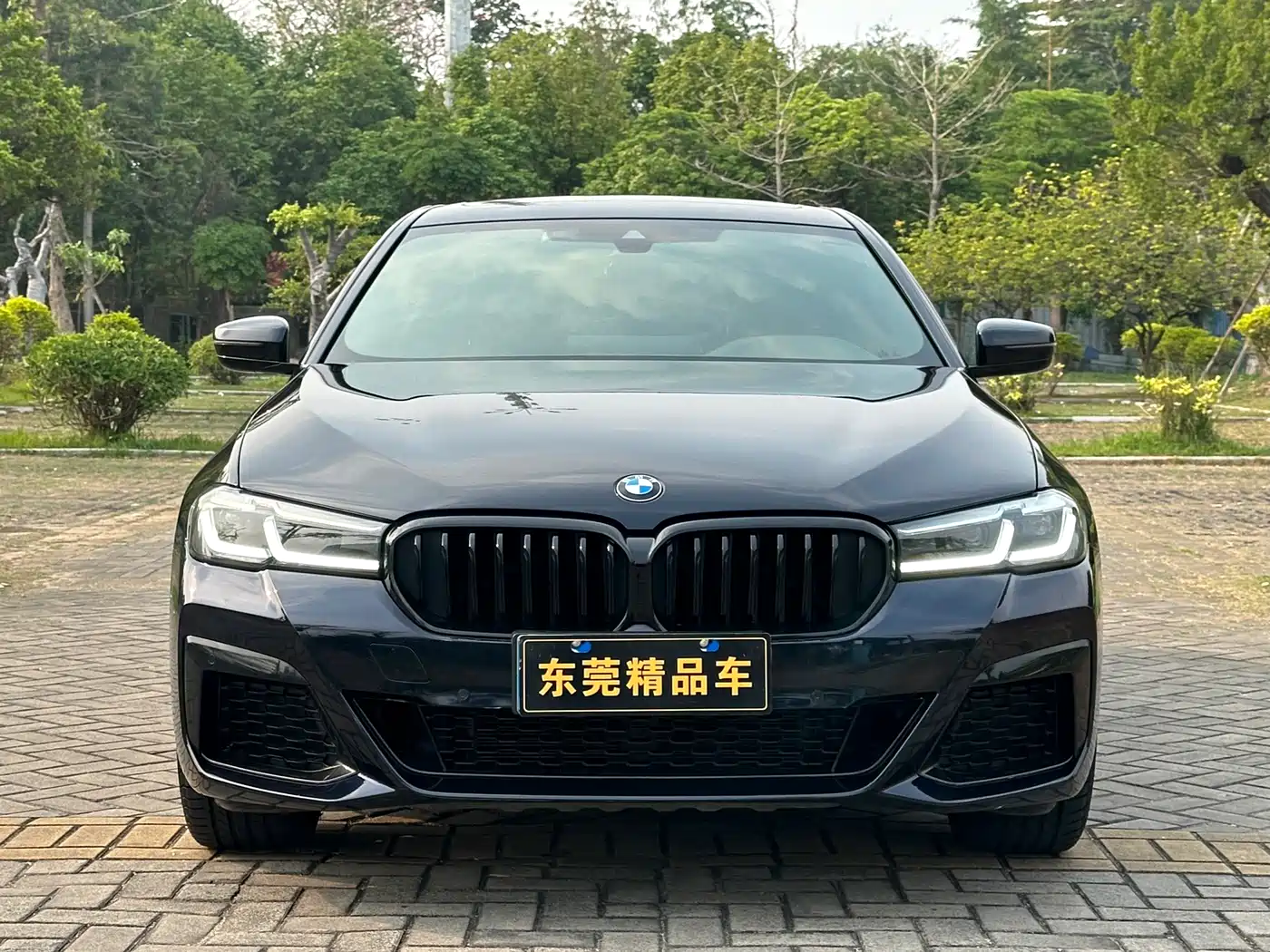BMW 5 Series 2021 530Li Leading M Sport Package фото 2