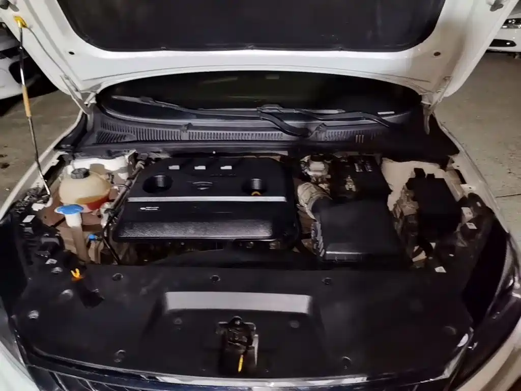 Фото 20 - Geely Binrui