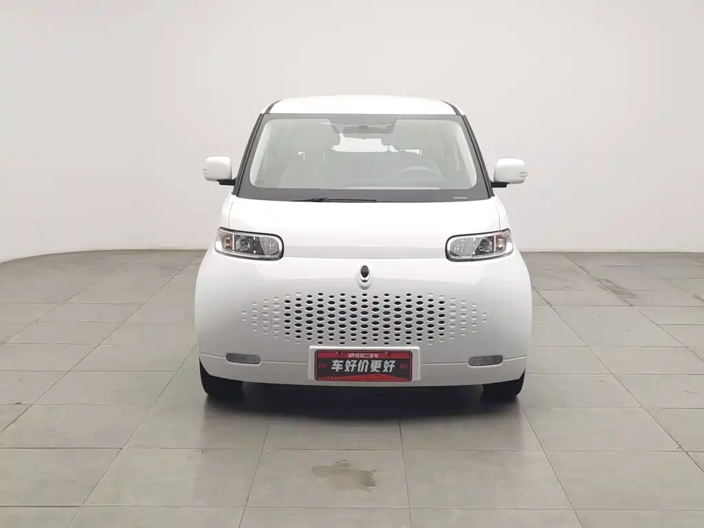 Ora White Cat 2021 2020 305km Luxury
