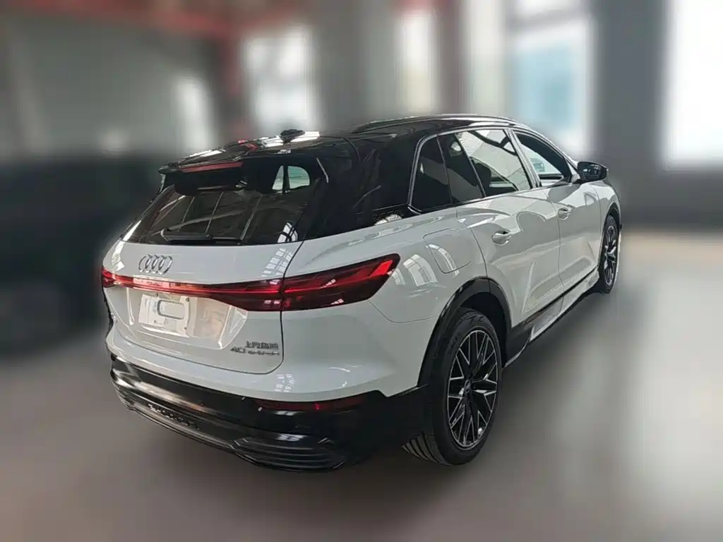 Фото 10 - Audi Q5 e-tron
