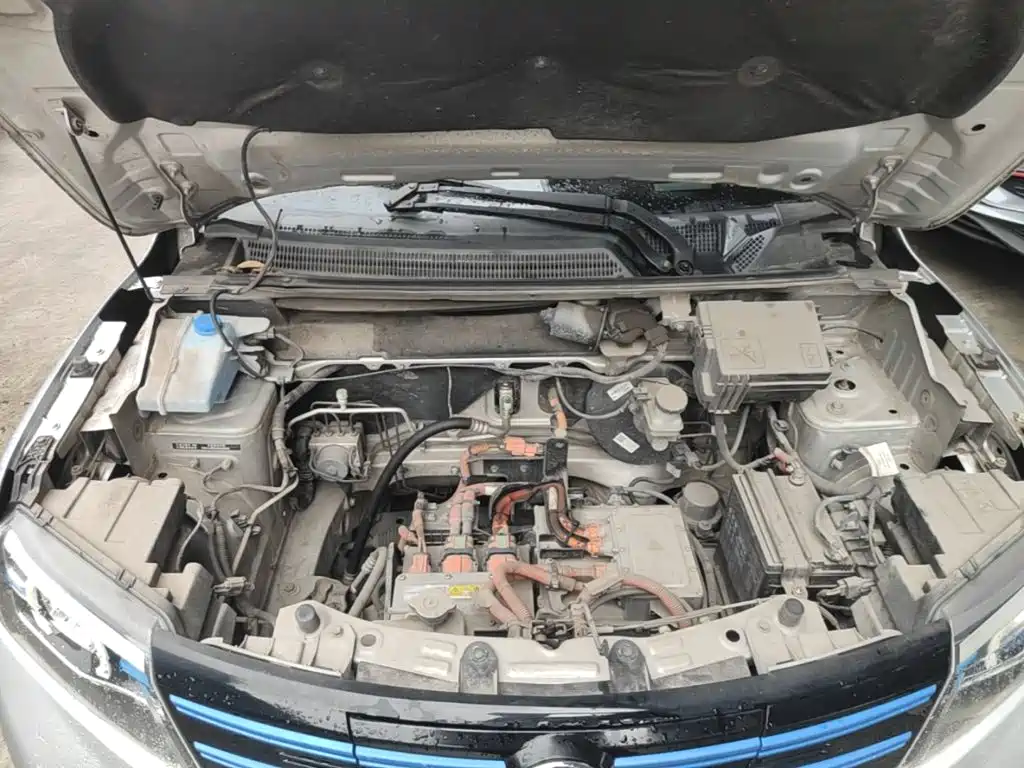 Dongfeng Fengguang Fengguang E1 2020 2020 E-Drive