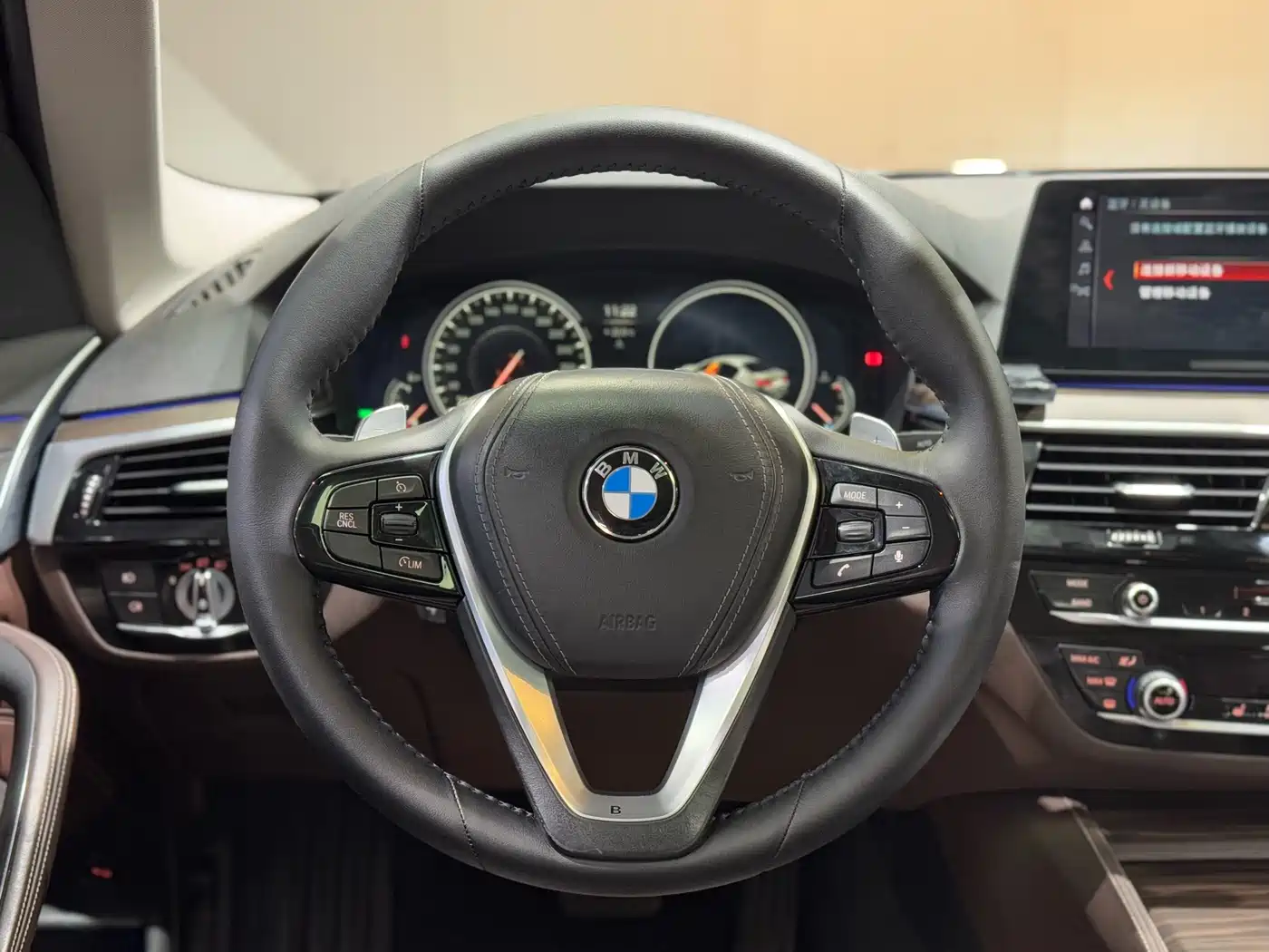 BMW 5 Series 2018 530Li Leading Luxury Package фото 9