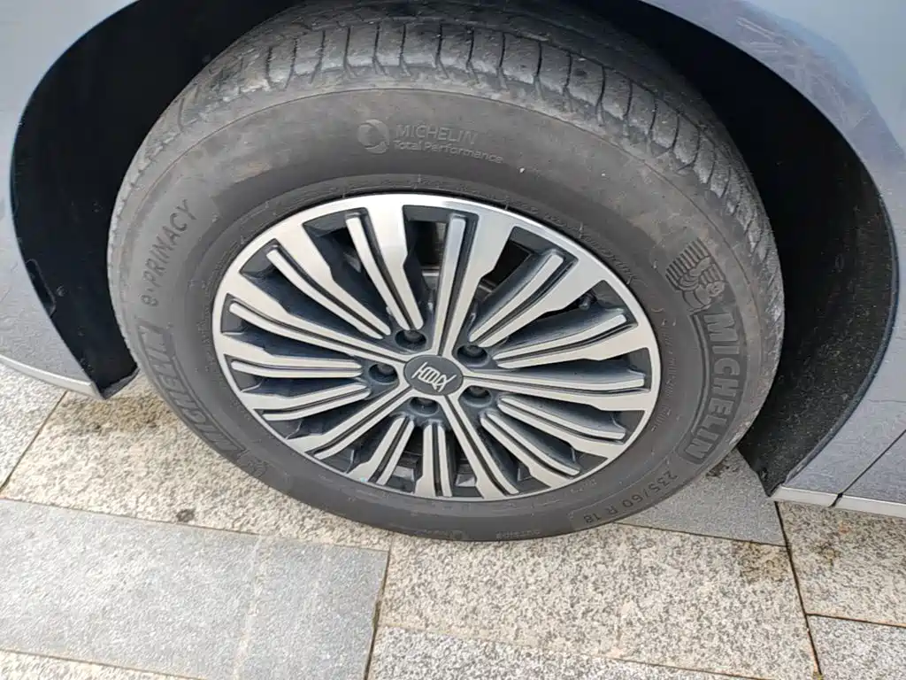 BYD Xia 2025 2025 DM-i 1.5T 180km Surpass Edition