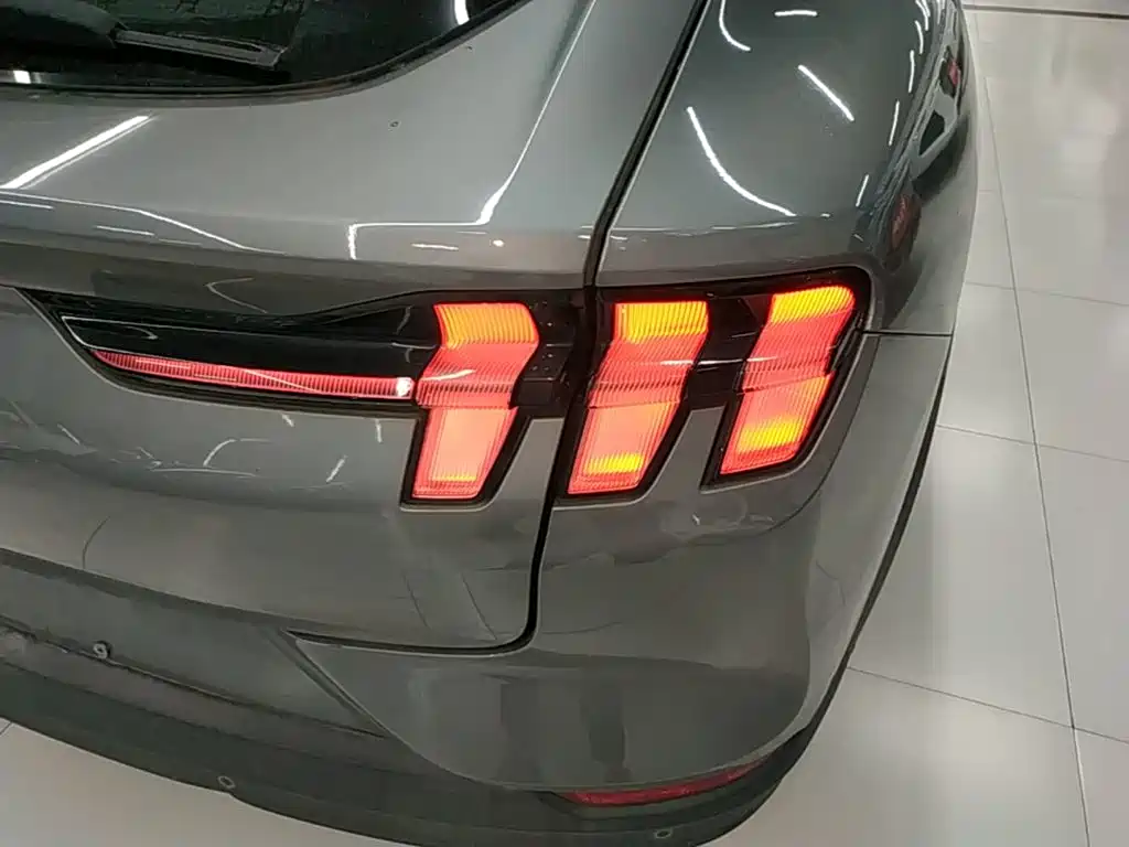 Ford Mustang Mach-E 2022 2021 Leap World RWD (Standard Range)