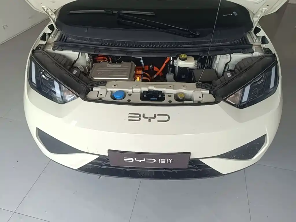 BYD Seagull 2026 2025 305km Vitality