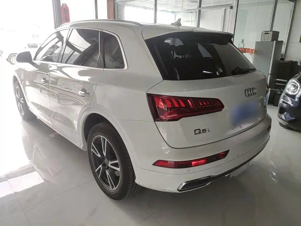 Audi Q5L 2018 45 TFSI Exclusive Fashion (China V) фото 5