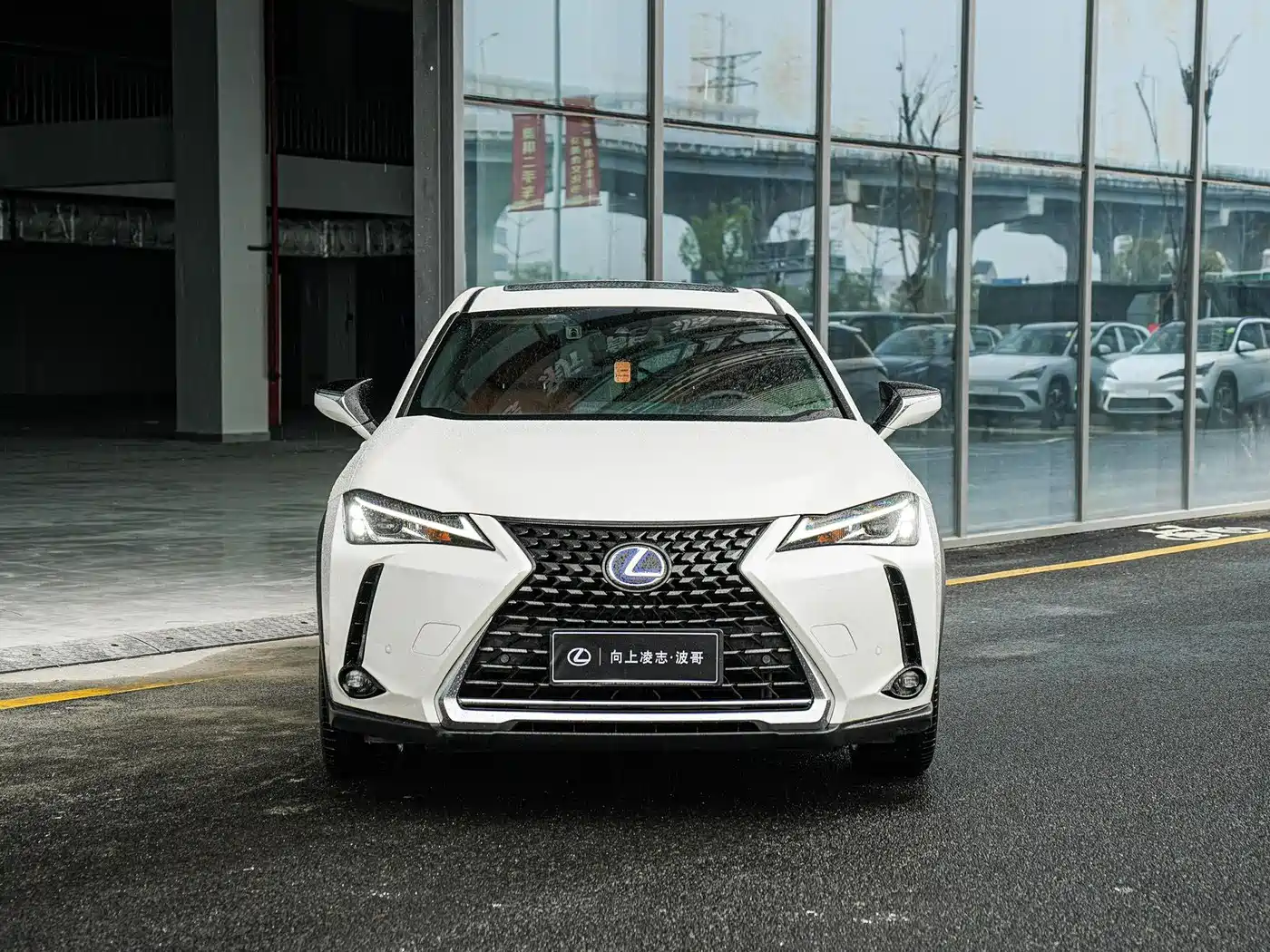 Lexus UX 2020 260h Explore Fun Edition China V фото 2
