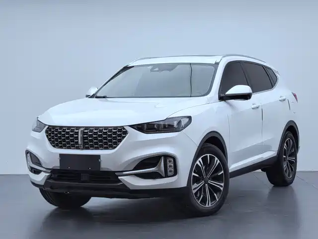 WEI PAI WEI BRAND VV6