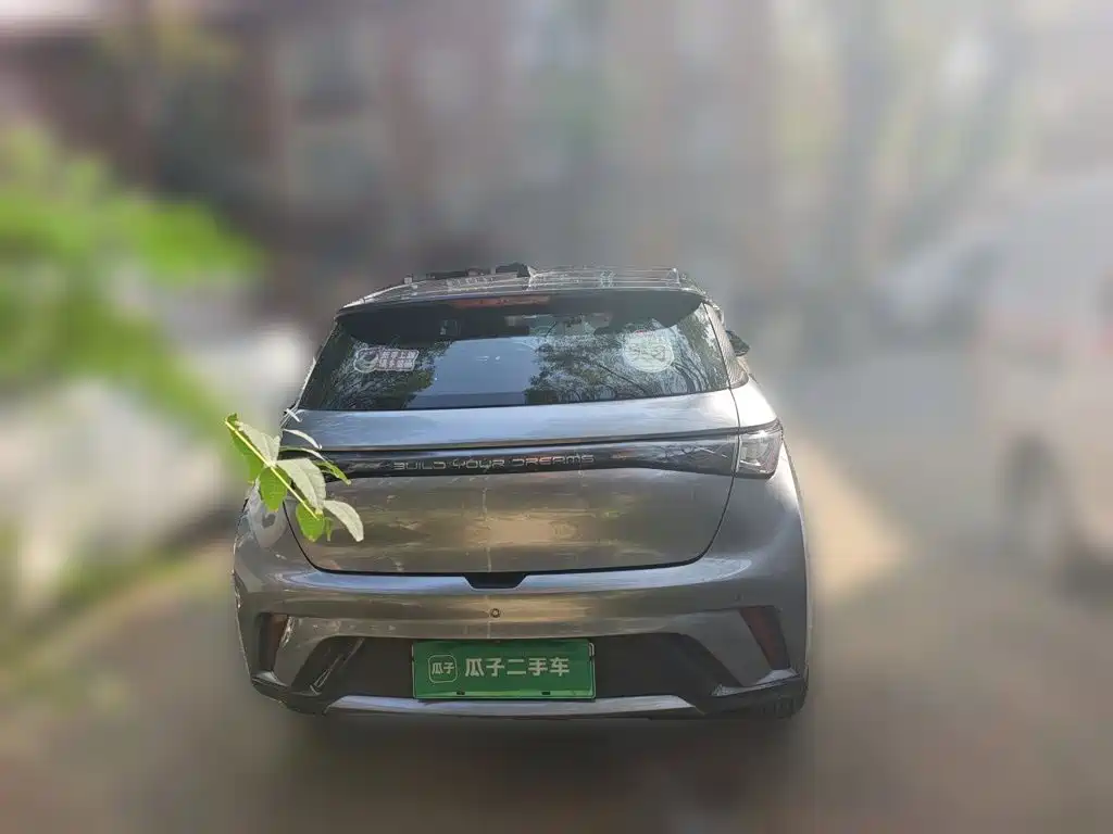 Фото 5 - BYD Dolphin