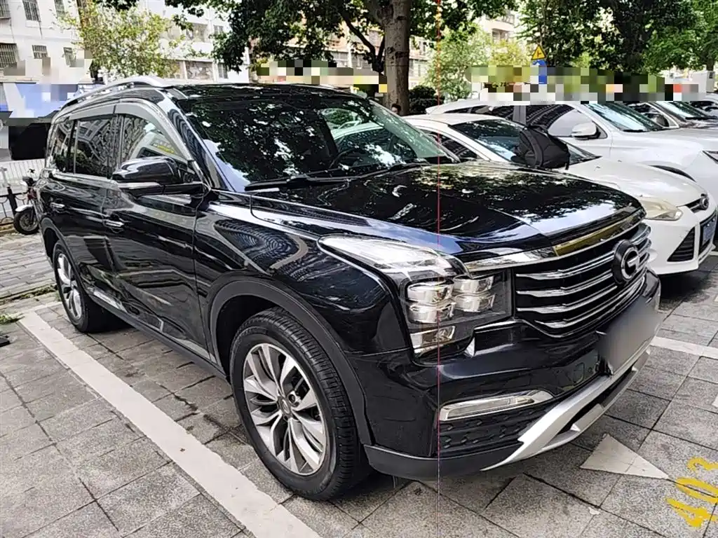 GAC Trumpchi Trumpchi GS8 2017 320T 2WD Luxury Smart Connect (7-seater) фото 4