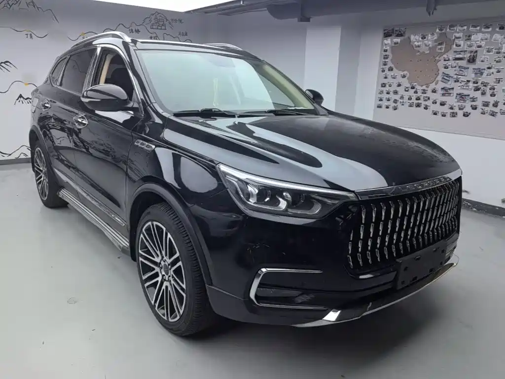 Leopaard Mattu 2019 2018 1.6T GDI DCT Luxury