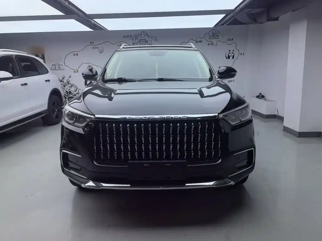 Leopaard Mattu 2019 2018 1.6T GDI DCT Luxury