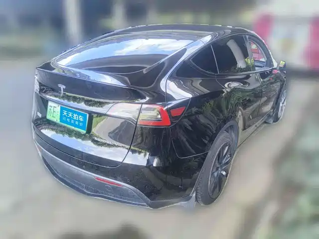Tesla Model Y 2022 Rear-Wheel Drive Version — фото 2