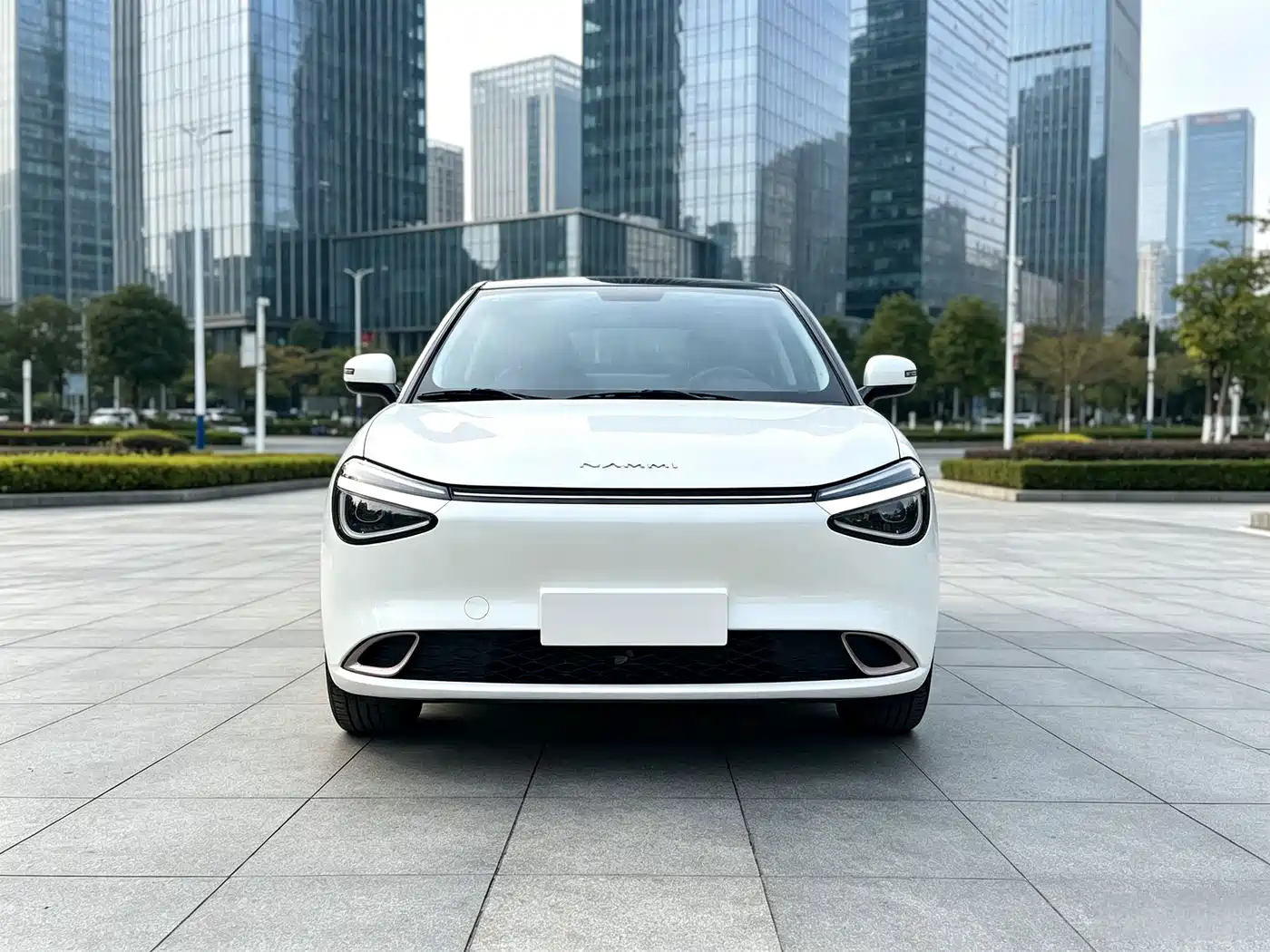 2025 Dongfeng Yipai Nano 01