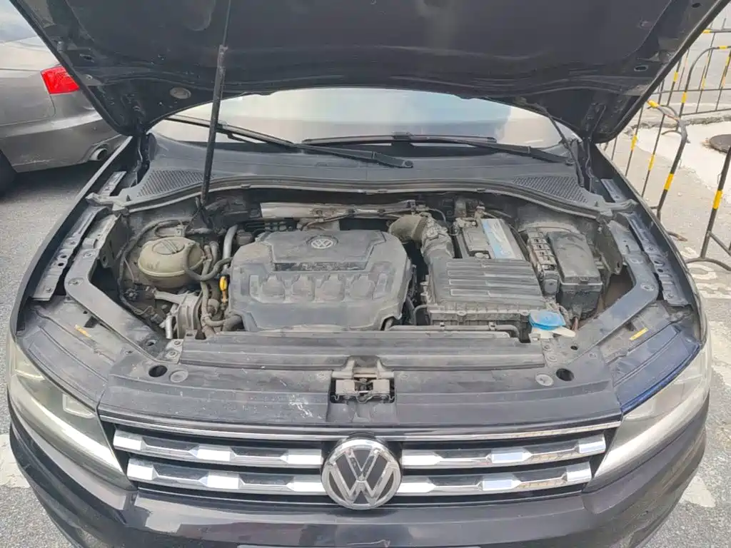 Фото 25 - Volkswagen Tiguan L