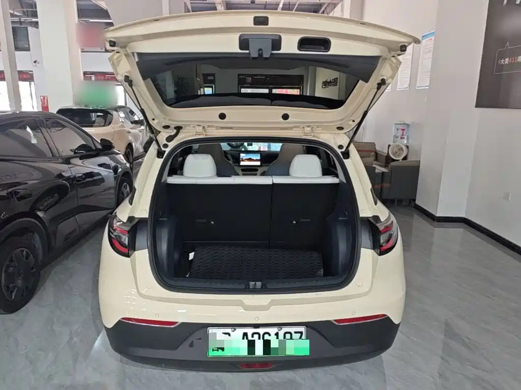 Geely Galaxy Starry Wish 2026 2026 Edition 310km Youth Version