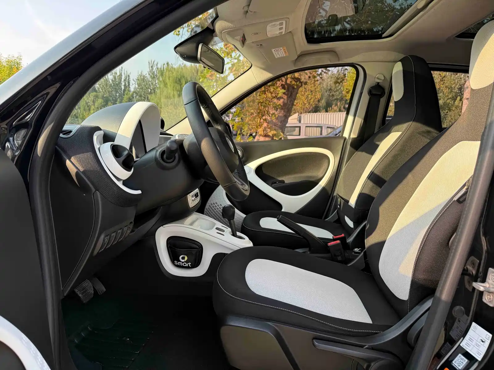 Фото 6 - smart forfour