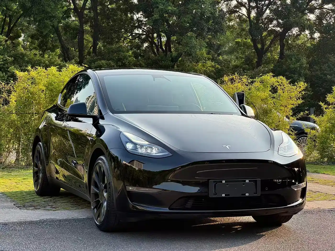 Tesla Model Y 2021 2021 Standard Range Rear-Wheel Drive