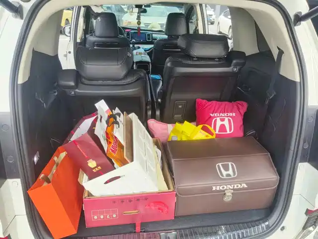 Honda Elysion 2019 2.0L Hybrid Luxury Edition — фото 4