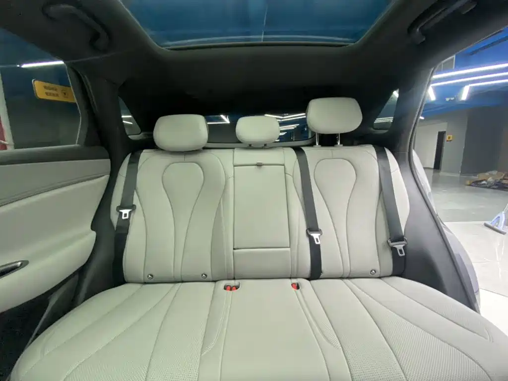 BYD Sealion 06 New Energy 2025 2025 DM-i 170 Pilot Plus Edition