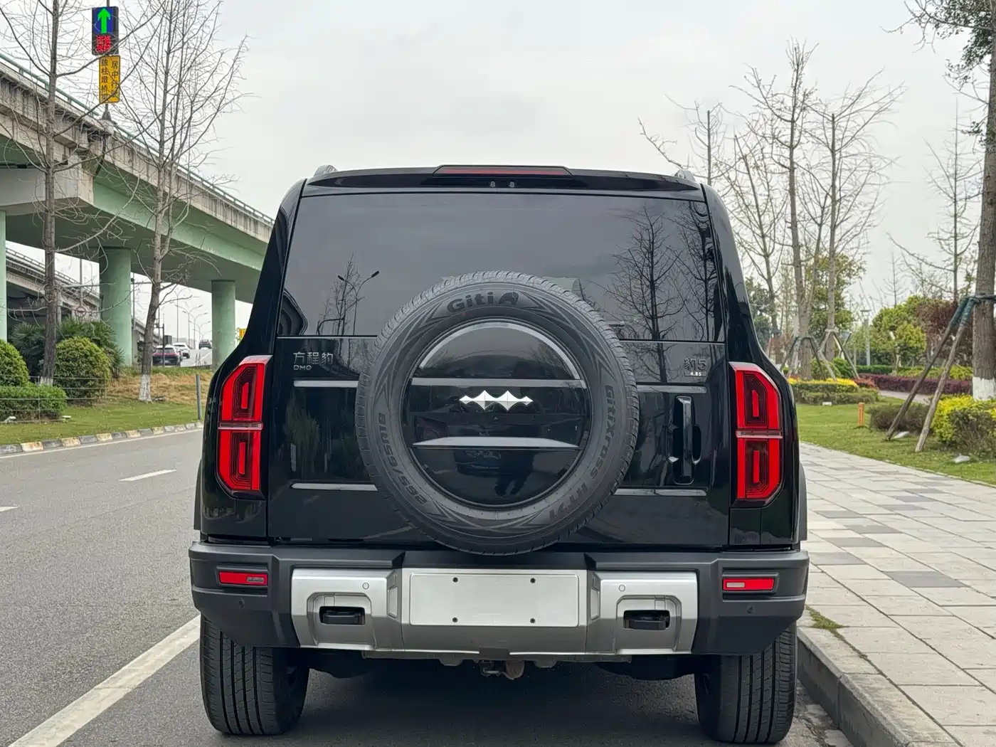 FANG CHENG BAO LEOPARD 5