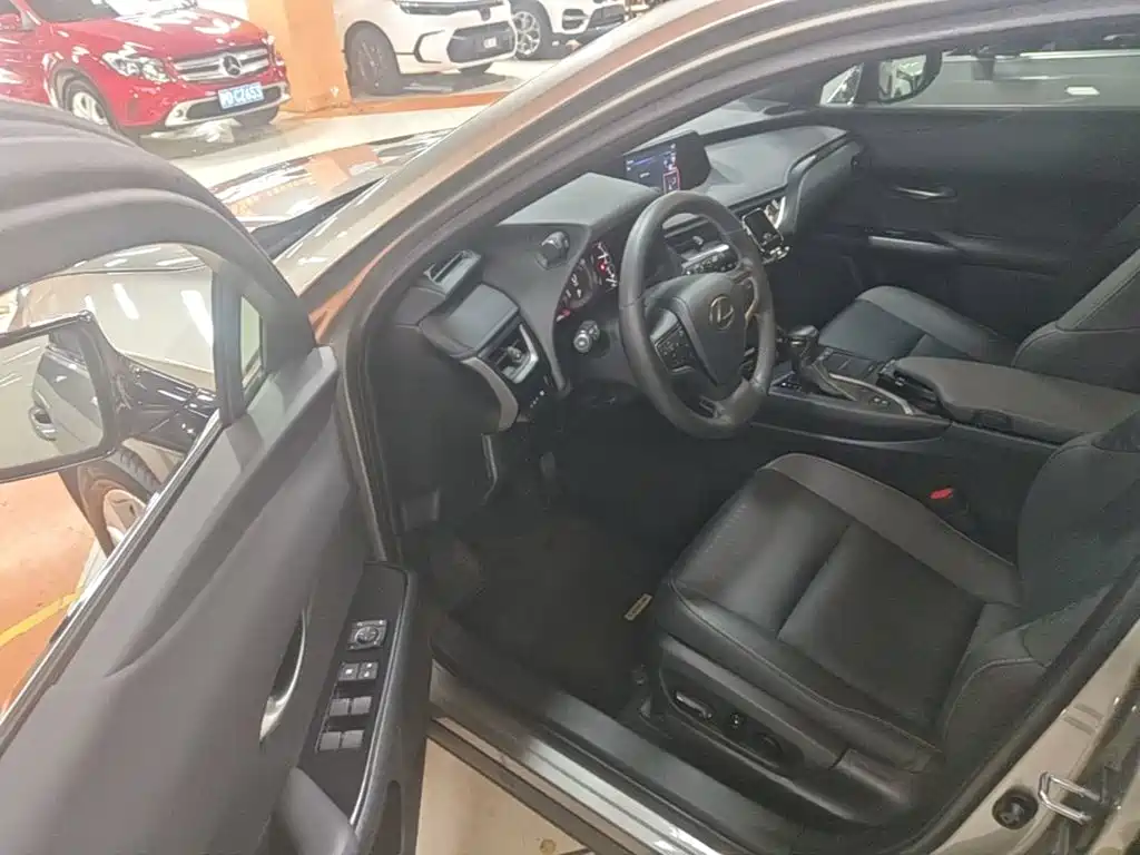 Lexus UX 2021 2020 260h Explore Fun Edition