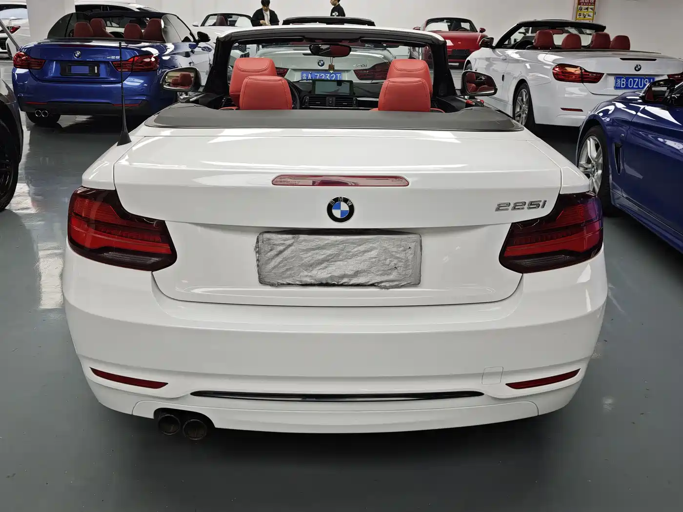 BMW 2 Series (Import) 2019 225i Convertible Coupe Sport Design Package фото 15