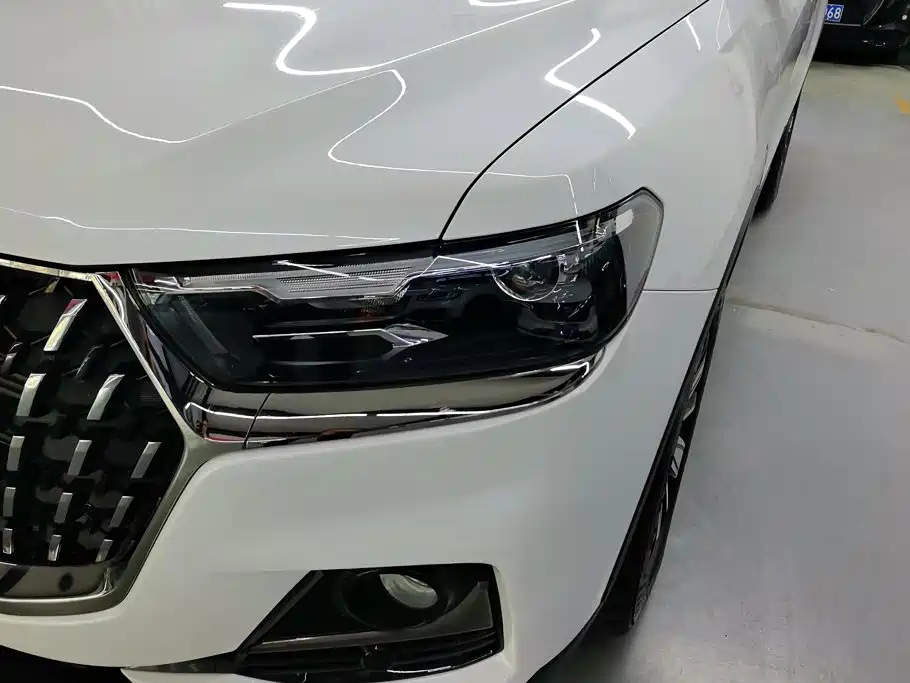 Haval H6 2025 2023 National Trend Edition 1.5T Automatic Champion