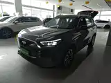 Фото 2 - Chery Fengyun Fengyun T8
