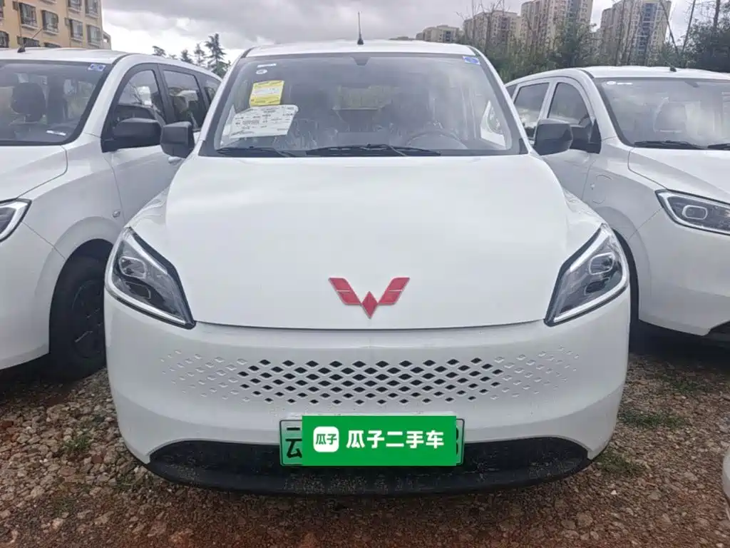 2026 Wuling Motors Wuling Hongguang New Energy