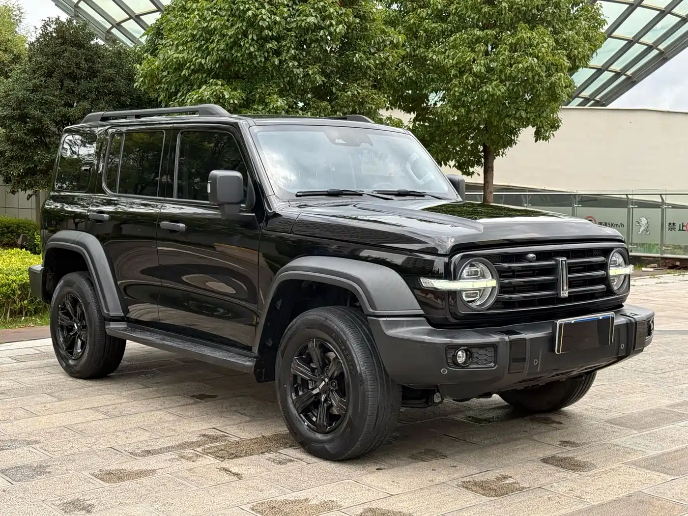 Tank 300 2021 2021 Off-road Version 2.0T Conqueror