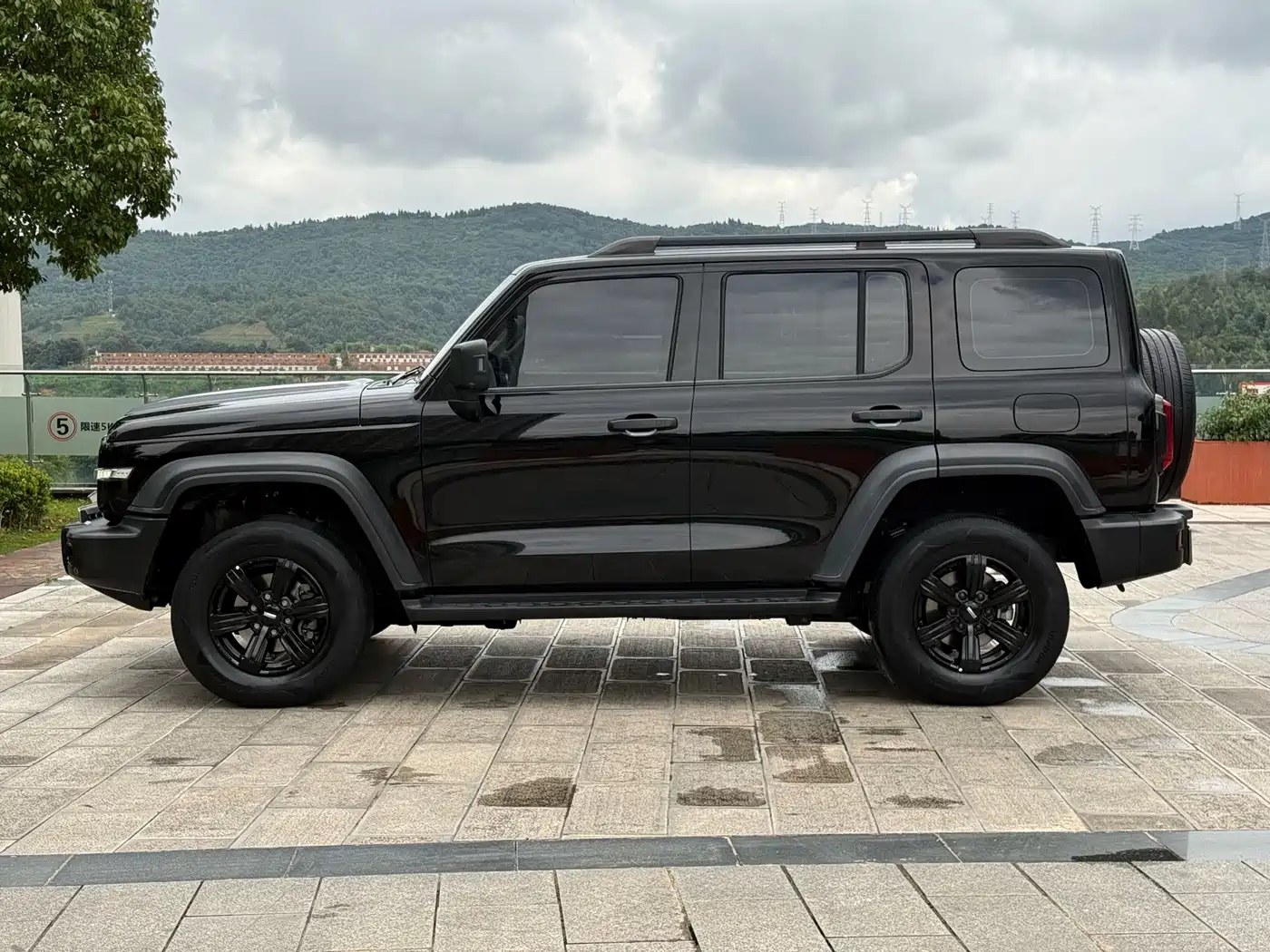 Tank 300 2021 2021 Off-road Version 2.0T Conqueror