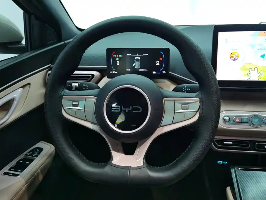 BYD Seagull 2026 2025 Smart Drive Edition 305km Vitality Version