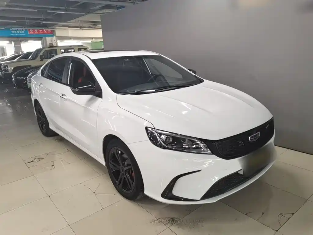 Фото 4 - Geely Binrui